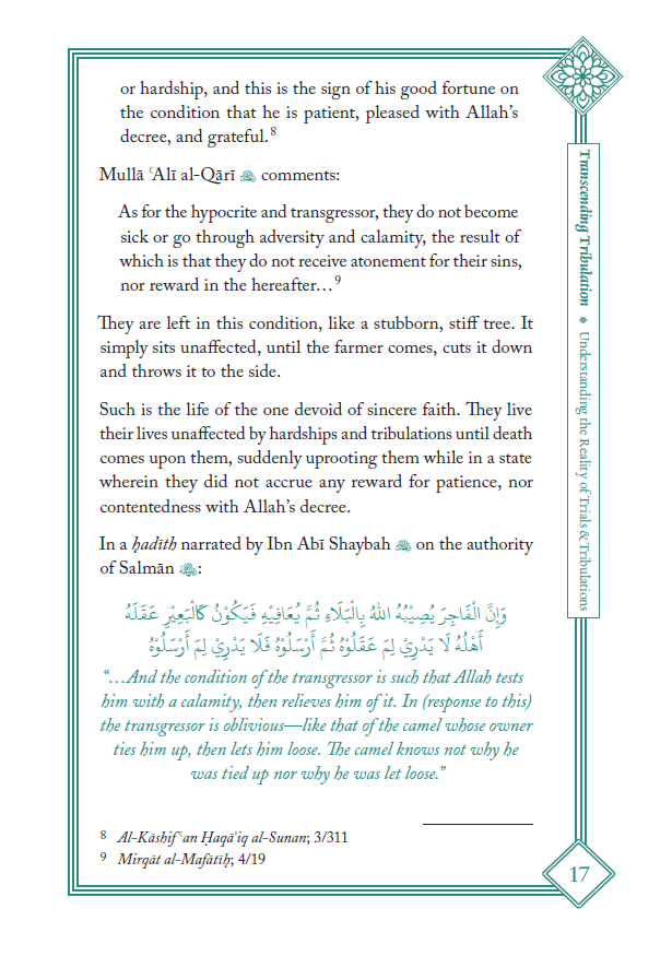 Transcending Tribulation