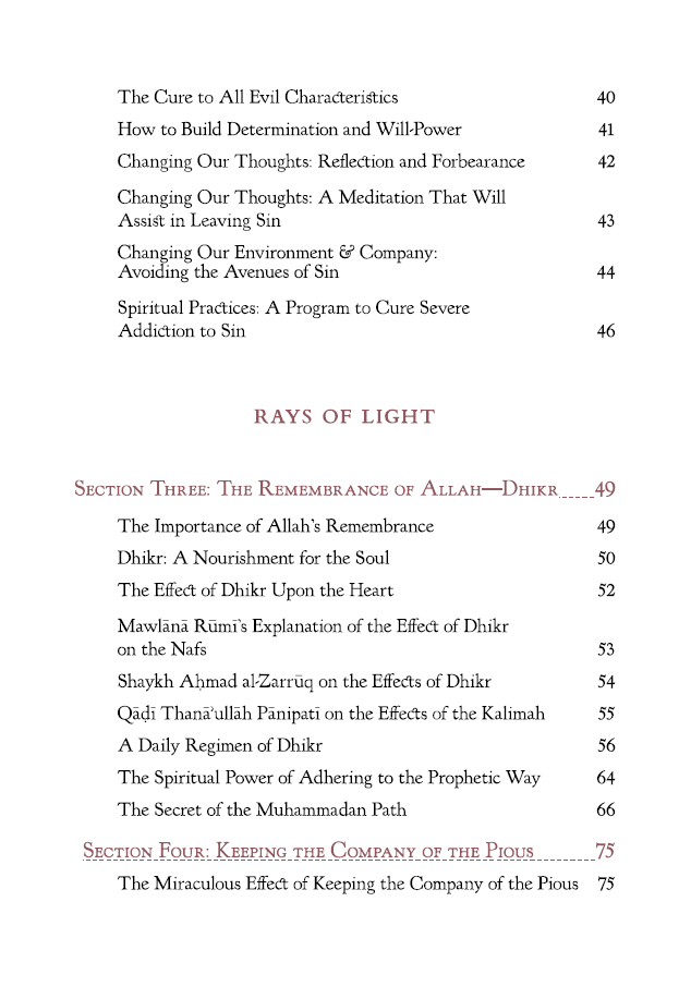 Rays of Light & Veils of Darkness